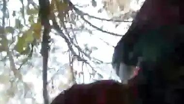 Desi hairy couples fuck in forest self video part 1